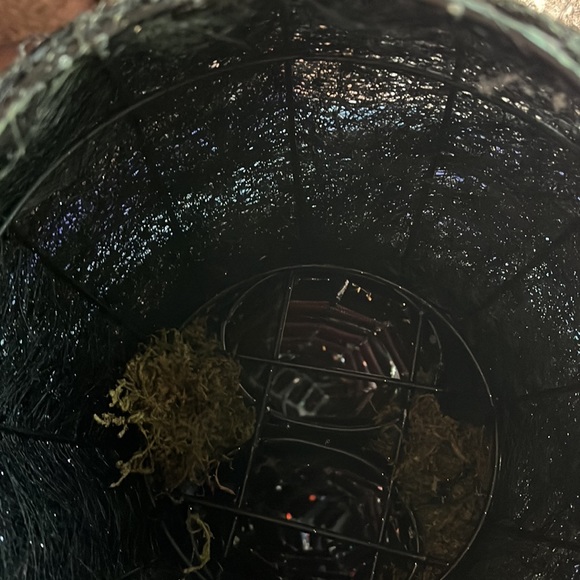 Halloween 🎃 decor - Picture 5 of 5